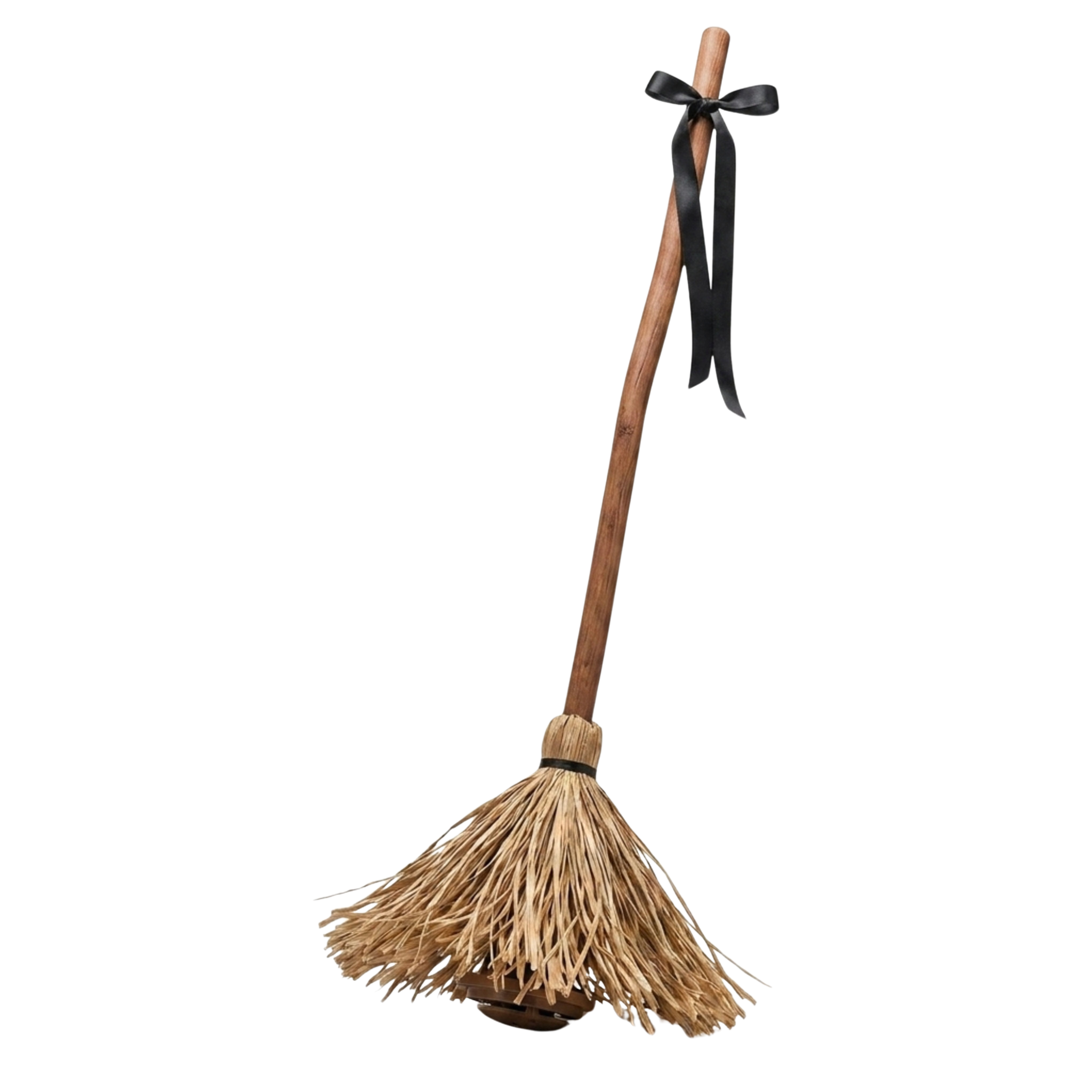 Playfully Haunted Motion Activated Broomstick - Ozerty