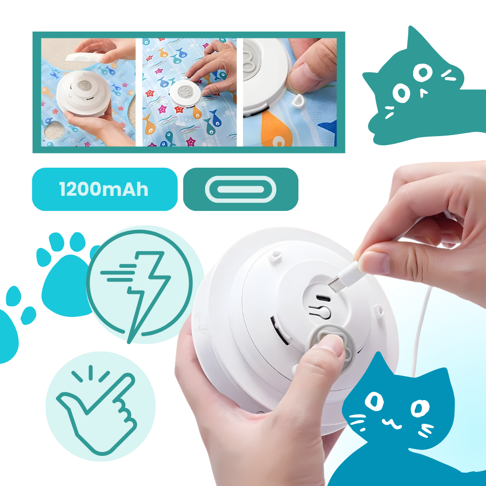 Kitten Teething Feather Toy - Ozerty