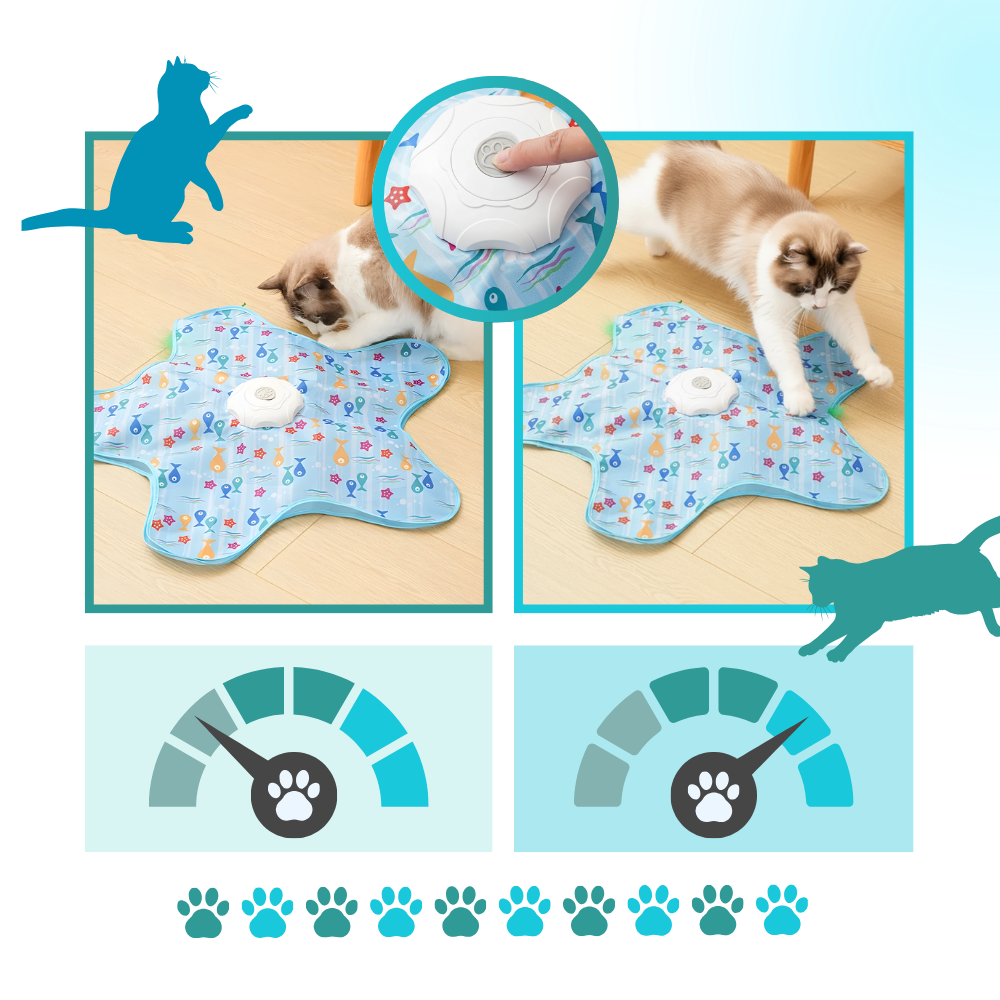 Kitten Teething Feather Toy - Ozerty