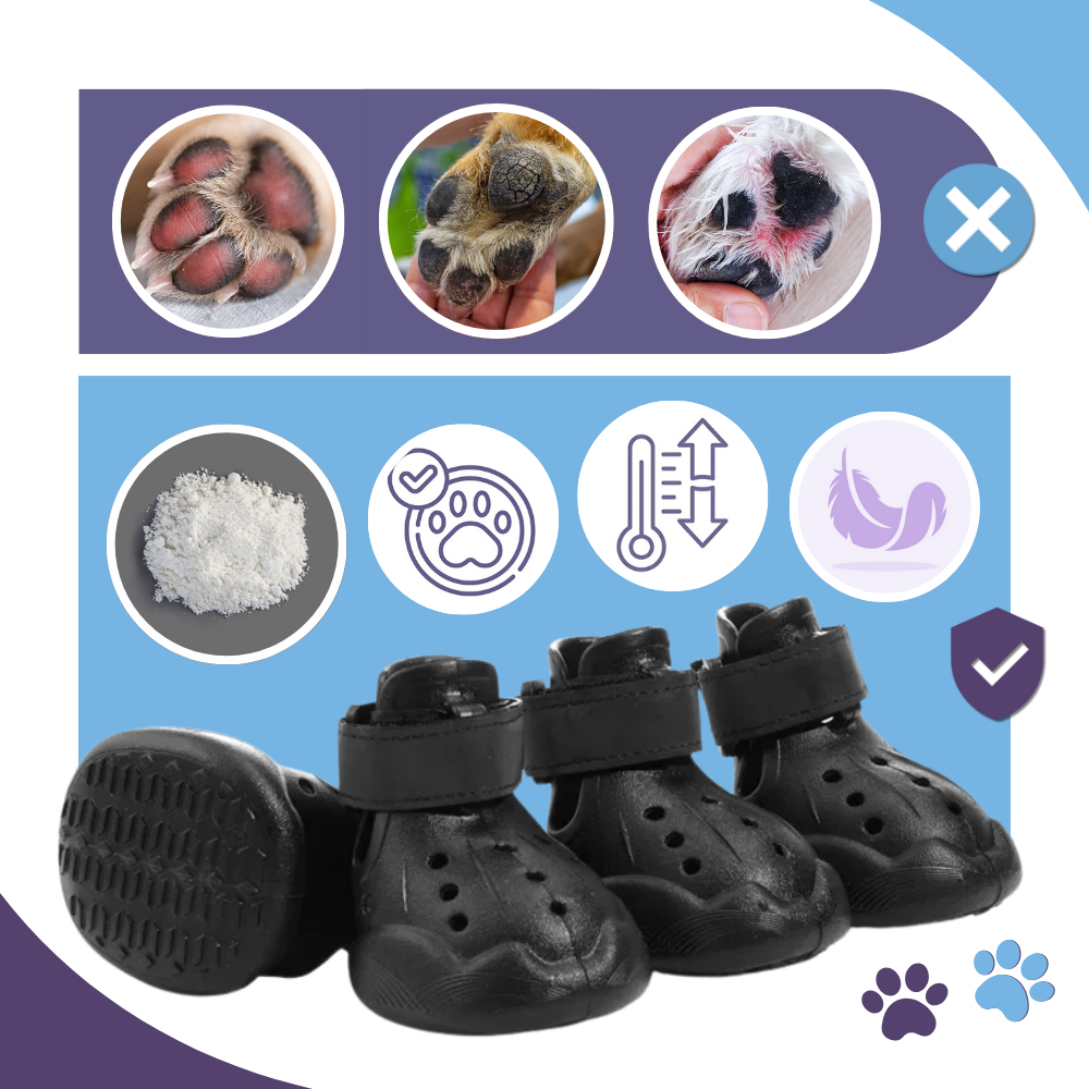 Paw Guard Boots - Ozerty