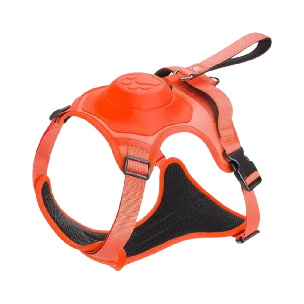 Adjustable Ergonomic Retractable Leash Set -Red - Ozerty