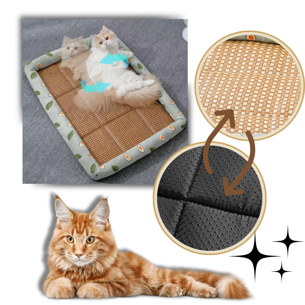 Anti-Slip Cooling Technology Pet Mat - Ozerty