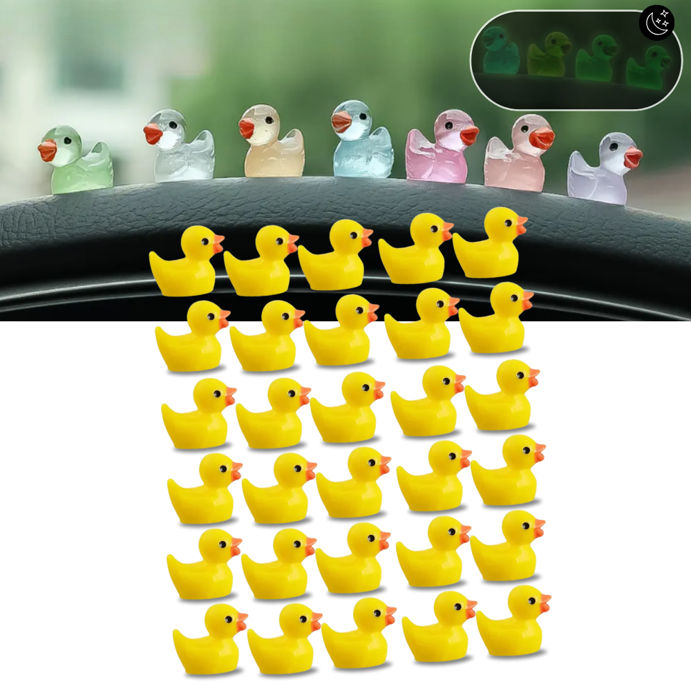 Cute Duck Challenge Toy - Ozerty