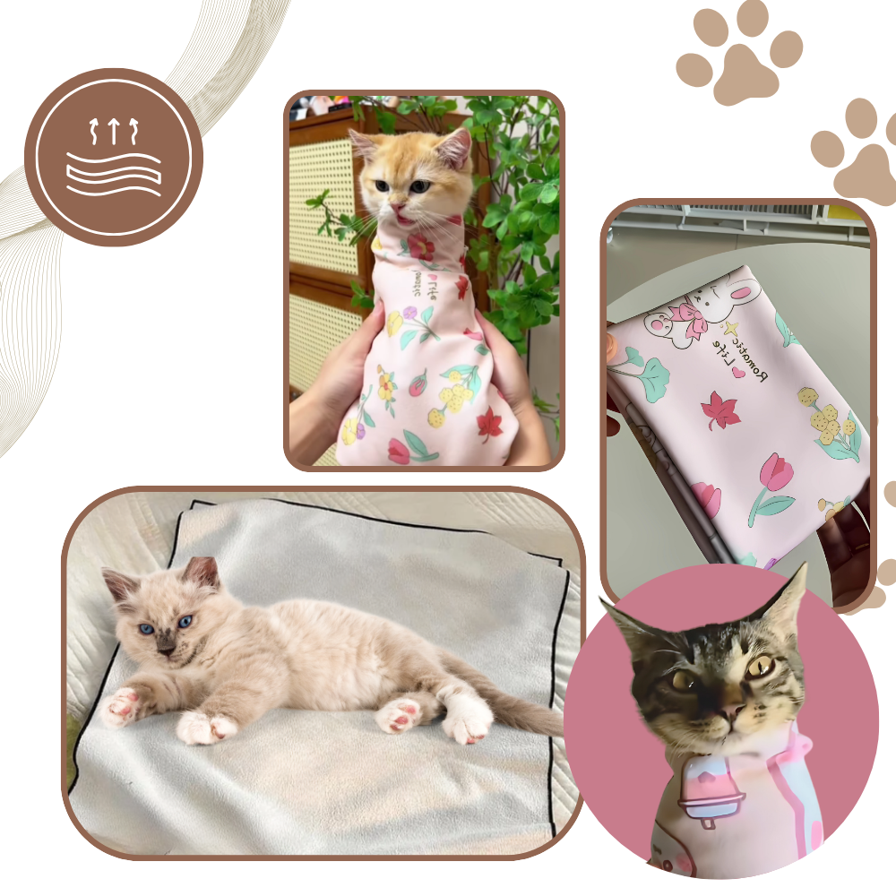 Magic Self Adhesive Cat Wrap - Ozerty