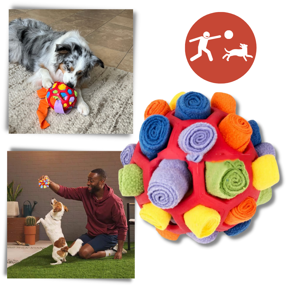 Mental Stimulator Snuffle Ball - Ozerty