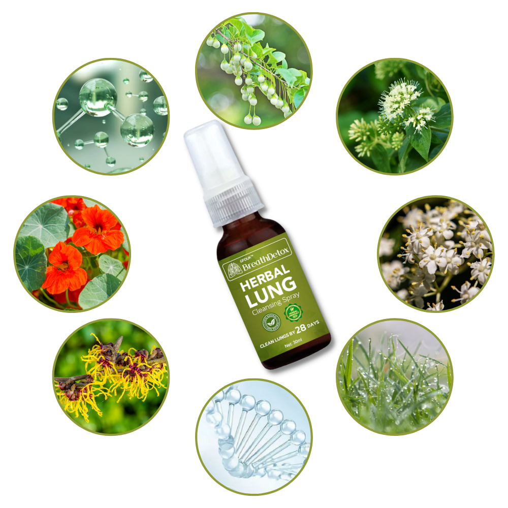 Plant-Based Cleansing Spray - Ozerty