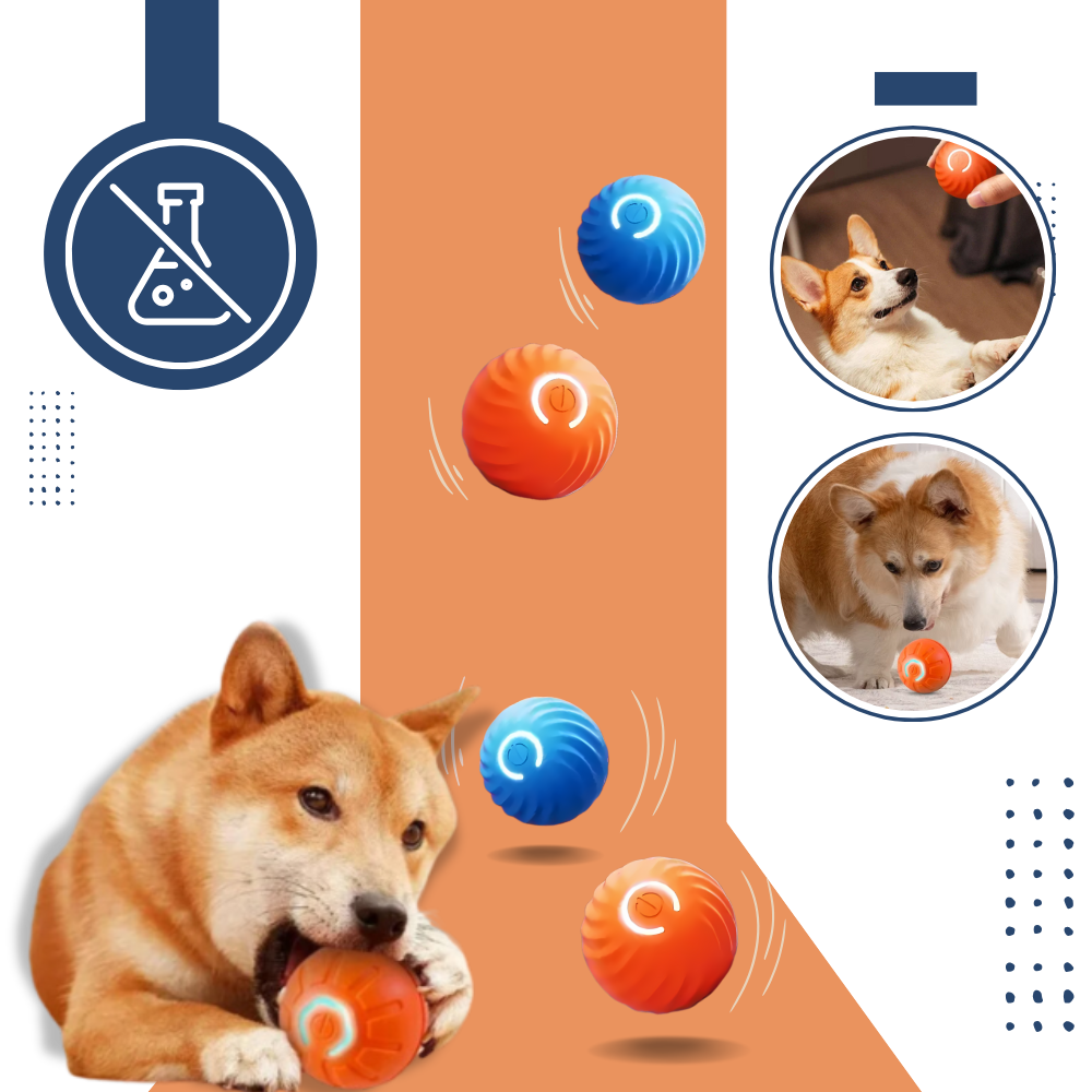 Obstacle Avoidance Dog Ball - Ozerty