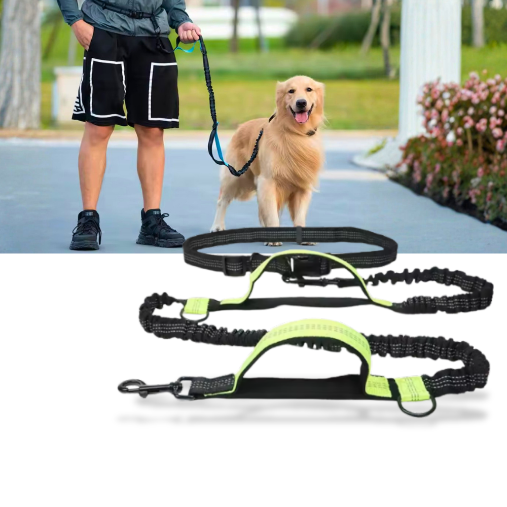 Secure & Ergonomic Dog Waist Leash - Ozerty