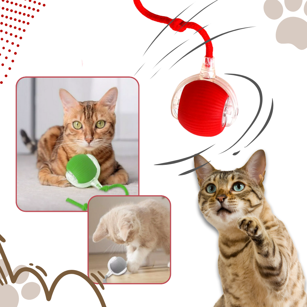 Smart Interactive Cats Ball Toy  - Ozerty