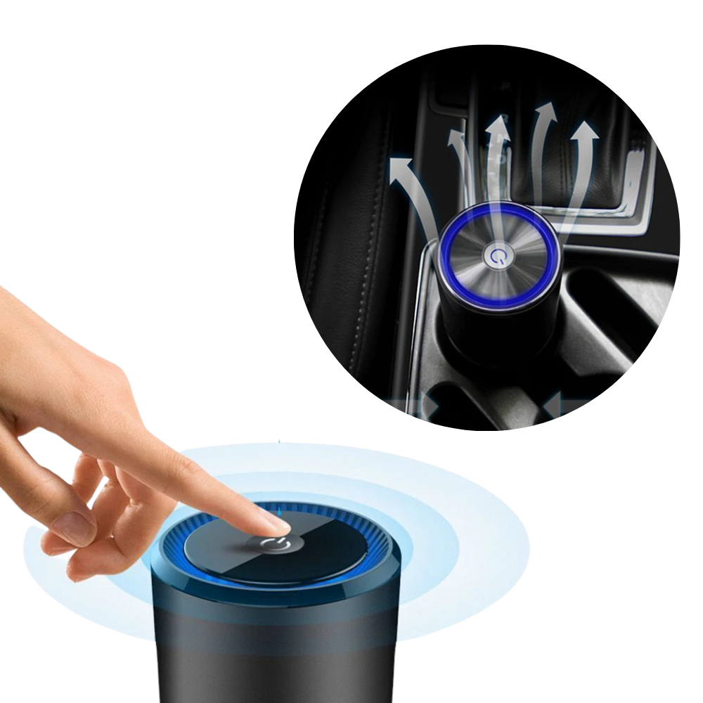 Ionic Air Purifier