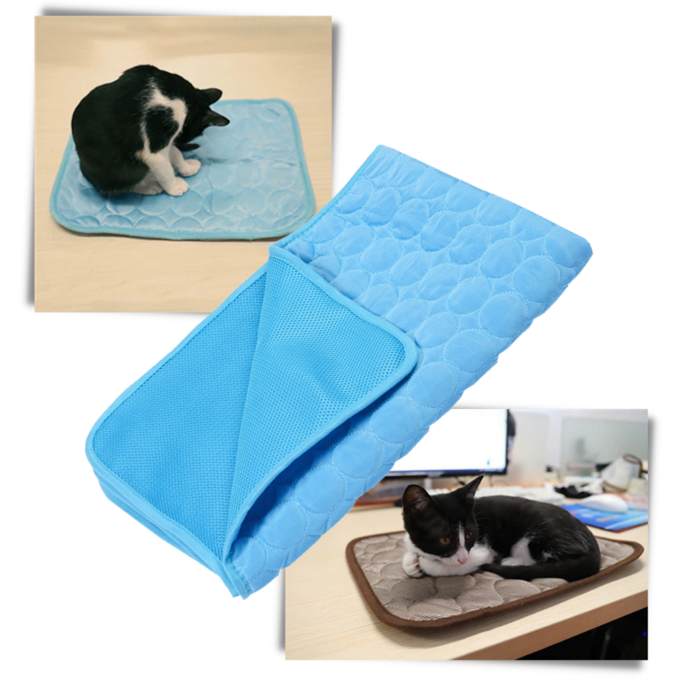 Cooling Mat for Pets