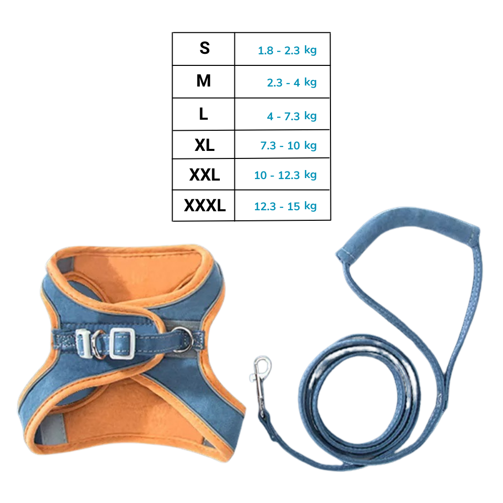 Pet Harness and Leash Set