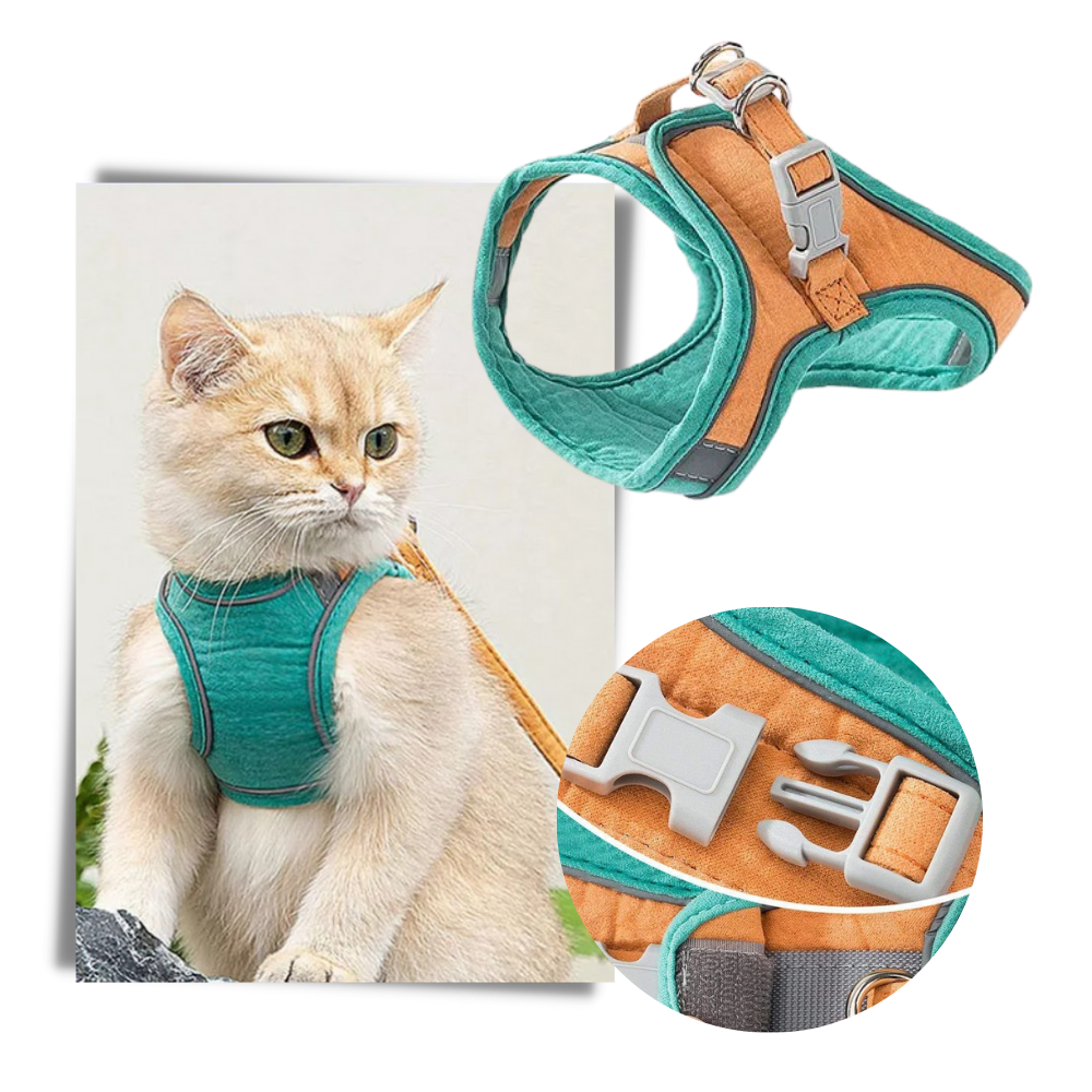 Pet Harness and Leash Set