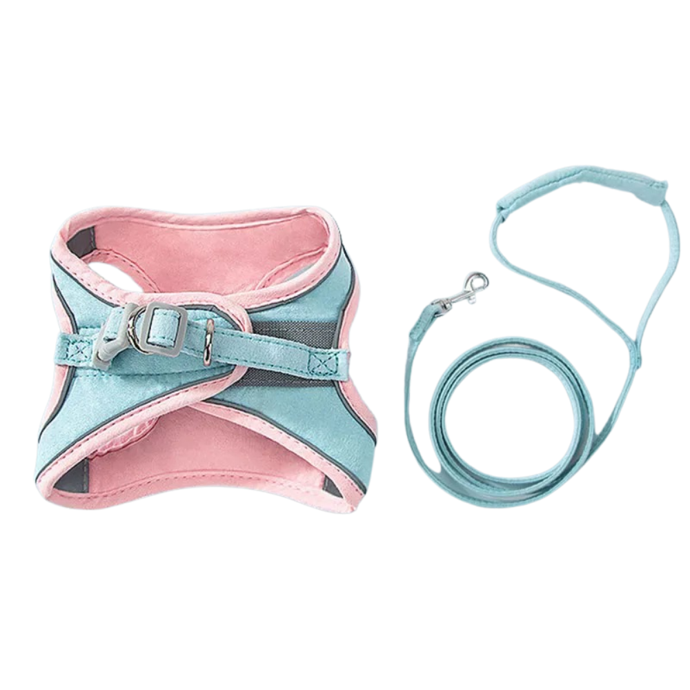 Pet Harness and Leash Set