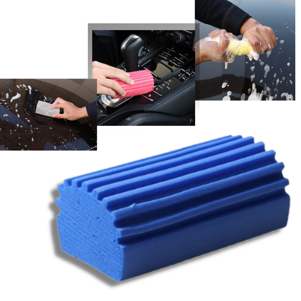 Multi-Functional Absorbent Sponge -