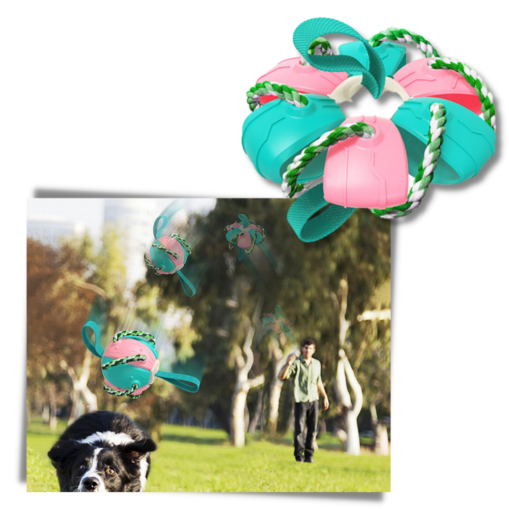 Frisbee Ball Dog Toy