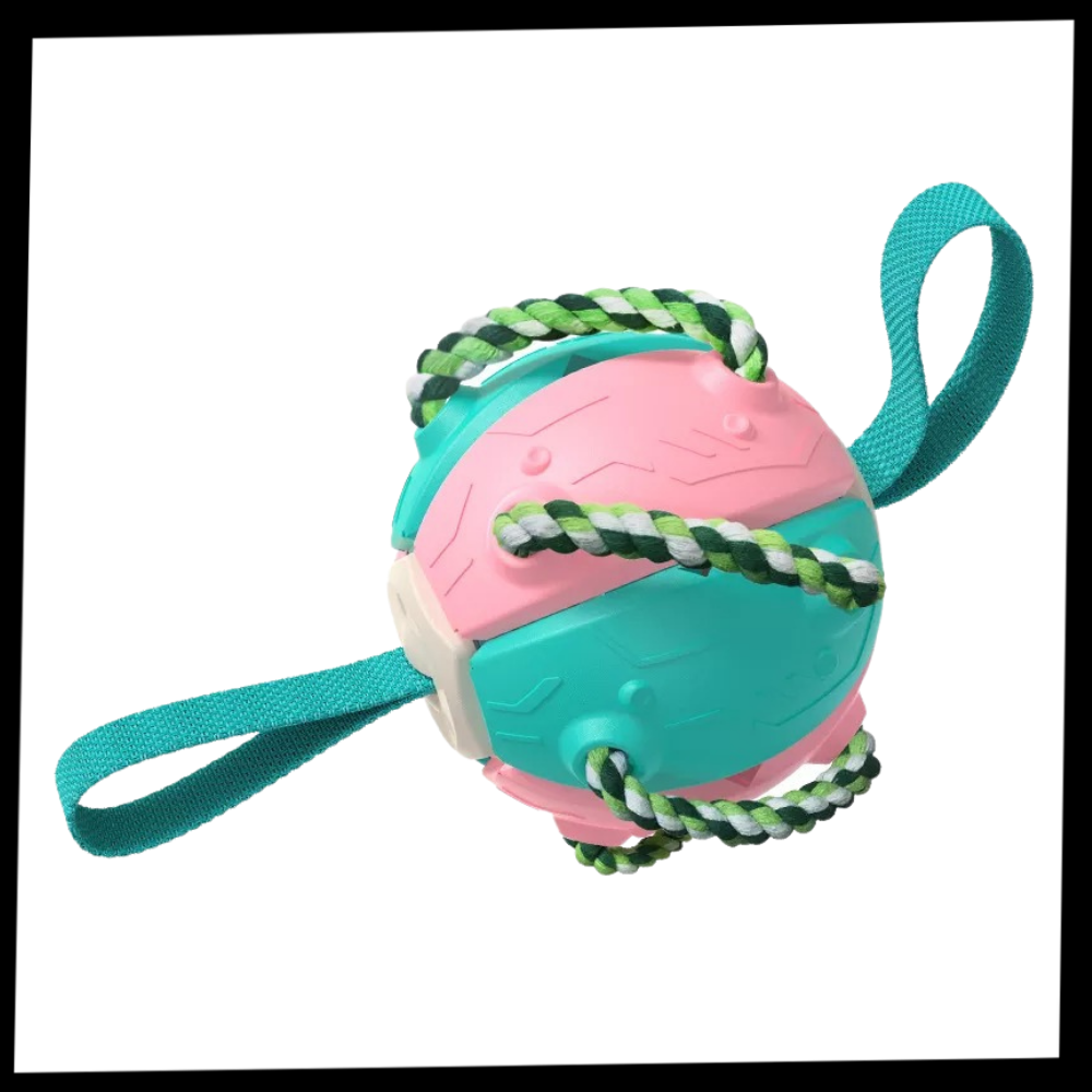 Frisbee Ball Dog Toy