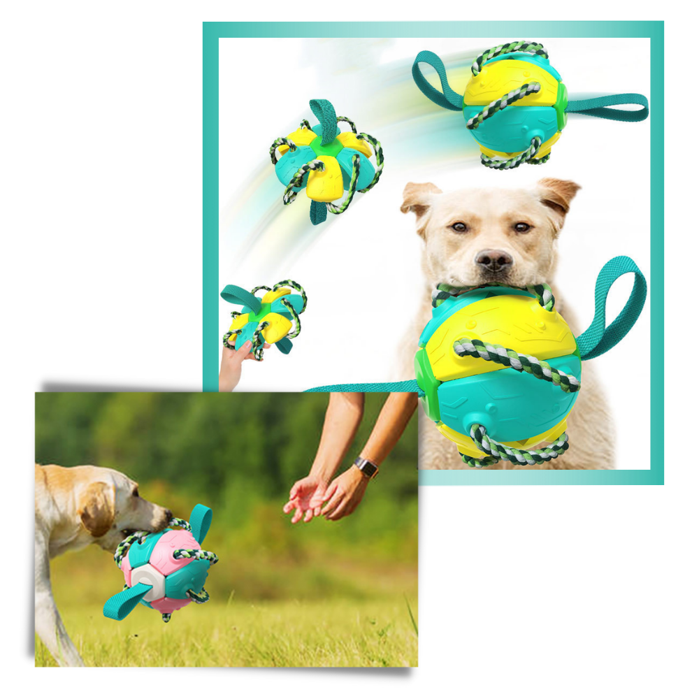 Frisbee Ball Dog Toy