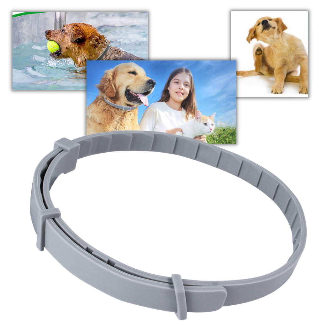 Anti-Flea Collar for Pets -