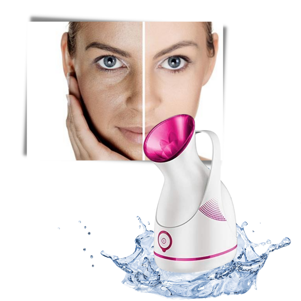 Portable face humidifier and sauna