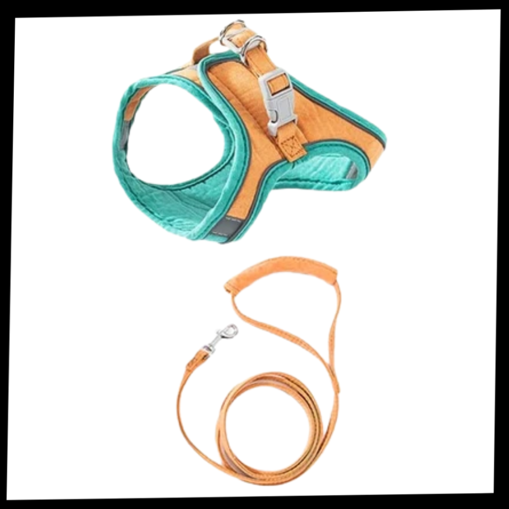 Pet Harness and Leash Set