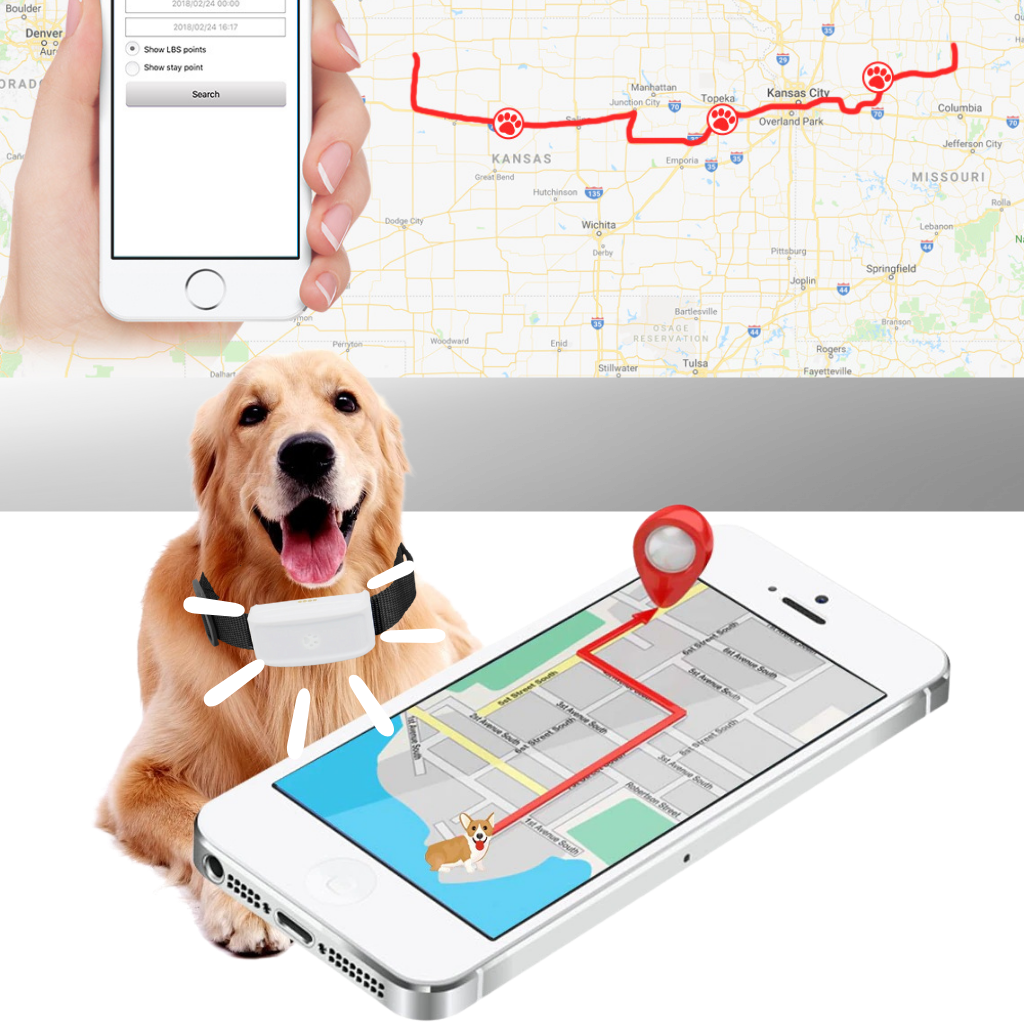 Pet GPS Tracking Collar