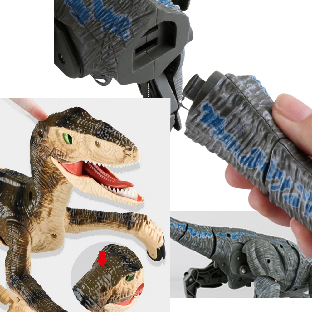 Remote Control Dinosaur Toy