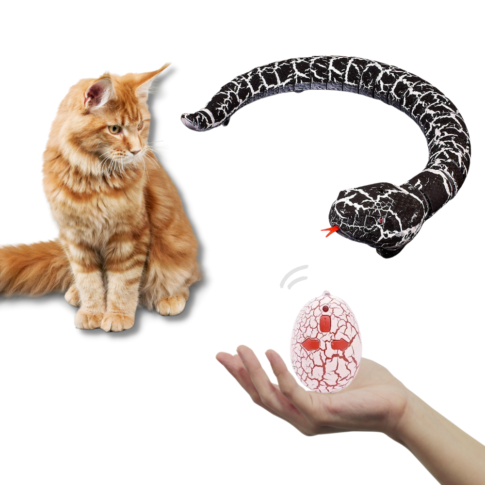 Remote control interactive snake toy for cat