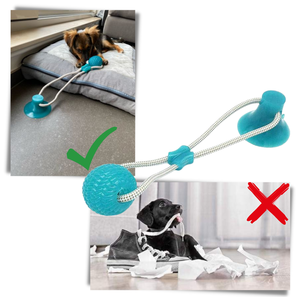 Suction Cup Dog Pull Ball Toy