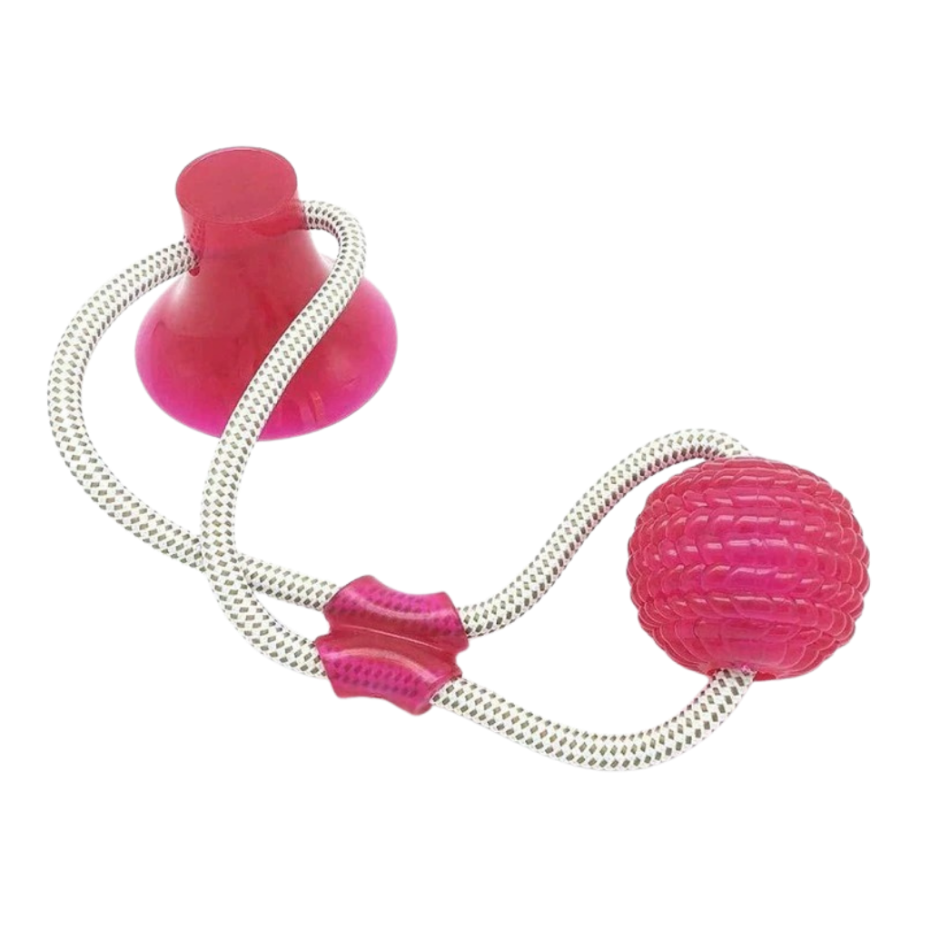 Suction Cup Dog Pull Ball Toy