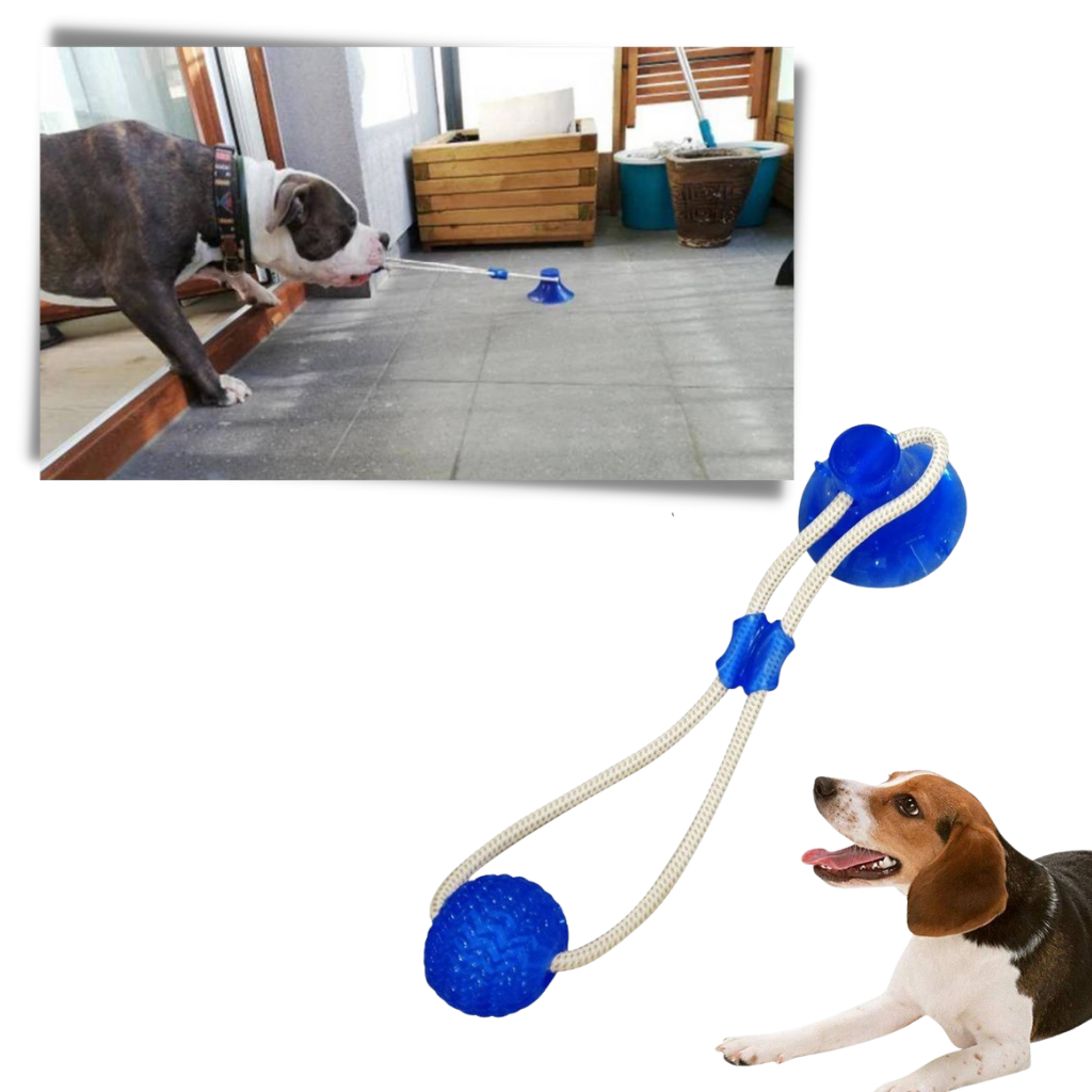 Suction Cup Dog Pull Ball Toy