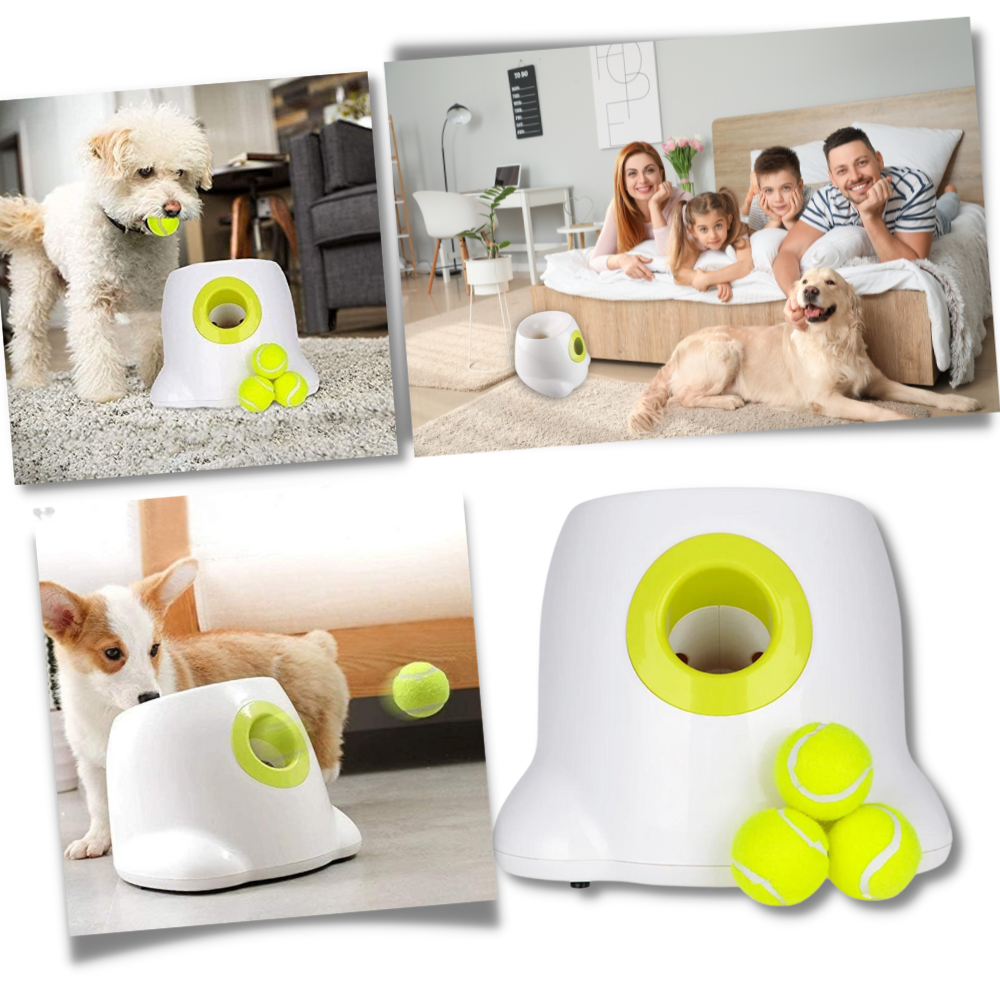 Automatic Dog Ball Launcher - Ozerty