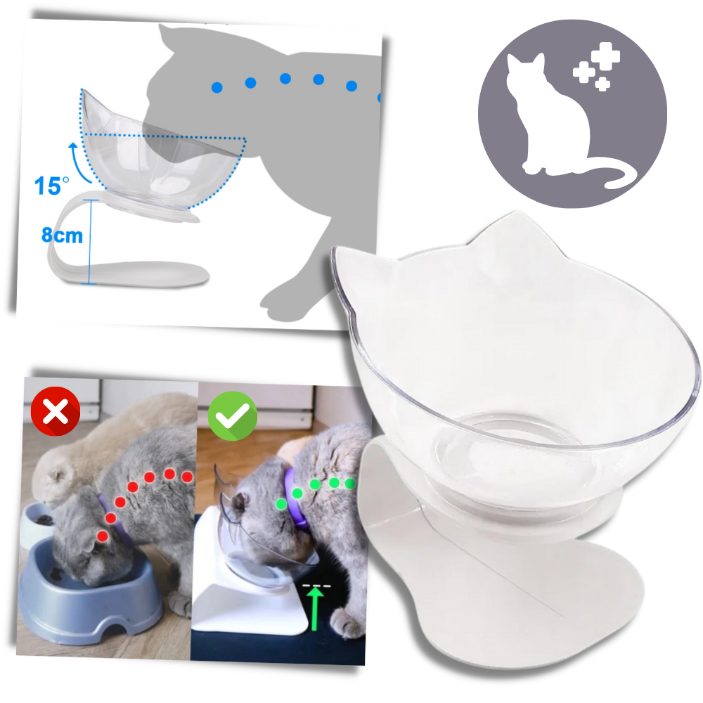 Elevated Comfort Bowl for Cats - Ozerty